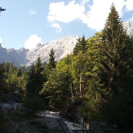Appartmenthaus Hochkoenig Muhlbach Am Hochkonig Luaran gambar