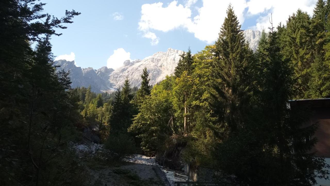Appartmenthaus Hochkoenig Muhlbach Am Hochkonig Luaran gambar