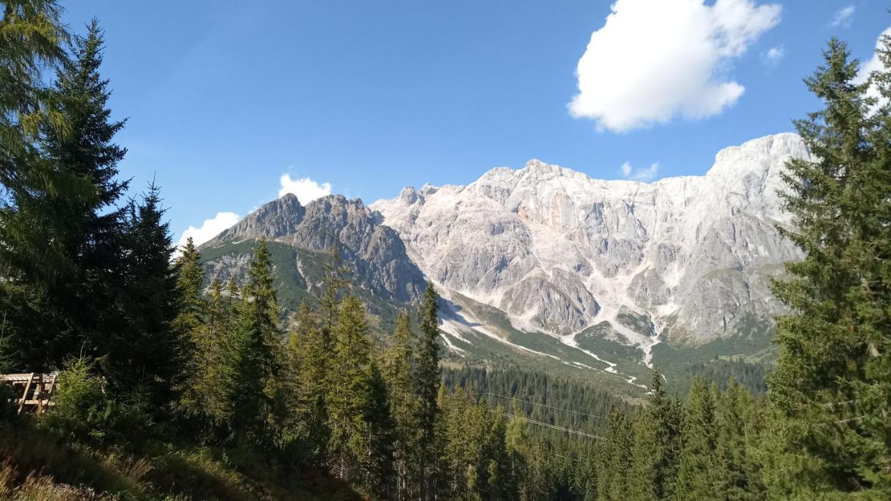 Appartmenthaus Hochkoenig Muhlbach Am Hochkonig Luaran gambar