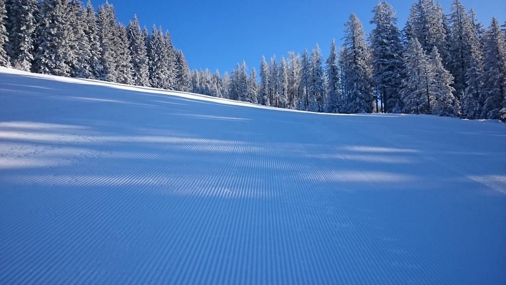 Appartmenthaus Hochkoenig Muhlbach Am Hochkonig Luaran gambar
