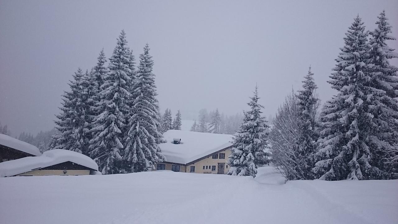 Appartmenthaus Hochkoenig Muhlbach Am Hochkonig Luaran gambar