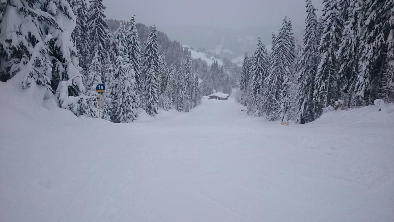 Appartmenthaus Hochkoenig Muhlbach Am Hochkonig Luaran gambar